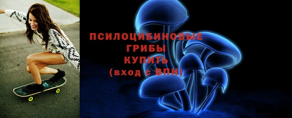хмурый Гусев