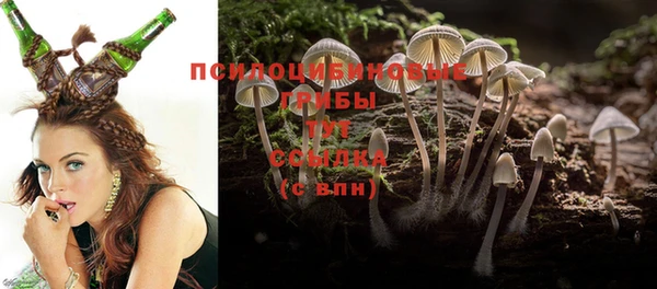 ALPHA-PVP Гусь-Хрустальный
