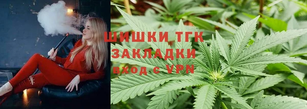 хмурый Гусев