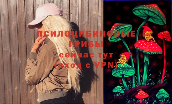 соль курить ск Дмитров