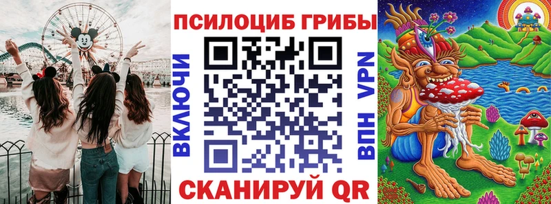 Галлюциногенные грибы мицелий  Купить  Палласовка 